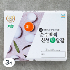 조인 백색 중란, 20구, 3개