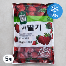 재호식품 딸기 (냉동), 1kg, 5개