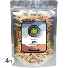 동이약초 모과, 150g, 4개