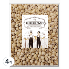 초이스팜 껍질깐 연자육, 300g, 4개