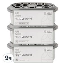 온다숲 반영구 강력한 냉장고탈취제, 300g, 9개