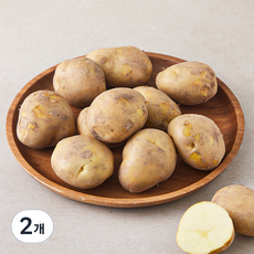 못생겨도 맛있는 국내산 감자(햇), 1kg, 2개 1kg, 2개
