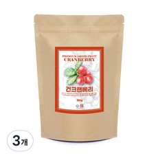 견과공장 건크랜베리, 500g, 3개