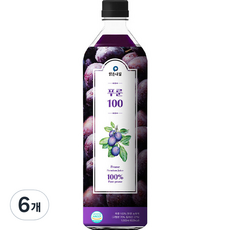 맑은내일 푸룬 100 과채주스, 1L, 6개