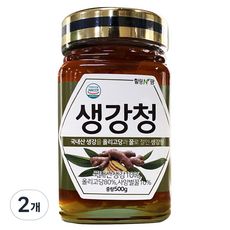 힐링앤팜 도라지청, 500g, 1개입, 제주