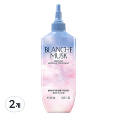 엘라스틴 퍼퓸 앰플 트리트먼트 블랑쉬 머스크향, 2개, 250ml
