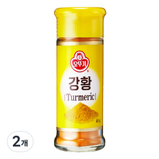 오뚜기 강황 향신료, 48g, 2개