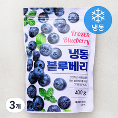 블루베리 (냉동), 400g, 3개