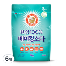 한입 100% 베이킹소다