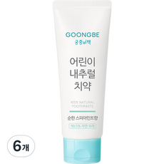 궁중비책 어린이 내추럴 치약 스피아민트향, 80g, 6개