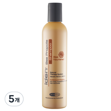 아이덴 비 프로폴리스 너리시드 건성 손상모 샴푸, 237ml, 5개