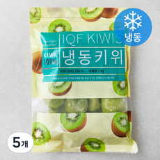 딜라잇가든 키위 (냉동), 1kg, 5개