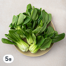 국내산 청경채, 600g, 5개