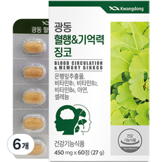 광동 혈행 &기억력 징코 27g
