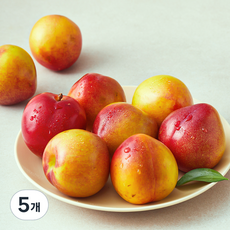 이로운 군위 당도선별 후무사 자두, 5개, 1.2kg(특대)