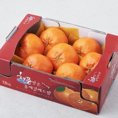 해풍맞은올레길 GAP 인증 고당도 13.5brix 레드향, 1.5kg (중과,5~7입), 1개