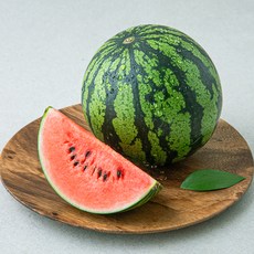 아침의 뜰 애플수박, 1kg 미만, 1개