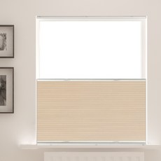 탑다운블라인드