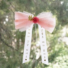 아스파시아 트윙클 리본 카네이션 인간화환 선물로 제가 왔어요 소, 핑크, 1개