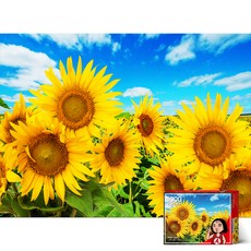 해바라기퍼즐 TOP01