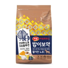 펫푸드자격증청주