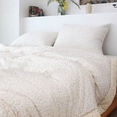 닥스로버트보더슈퍼싱글세트