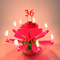 STOLIVING 生日快樂蠟燭蓮花旋律禮物派對用品 + 數字禮帽 19 件套, 紅色