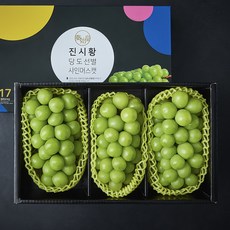 진시황 GAP 인증 당도선별 샤인머스켓, 2kg, 1개