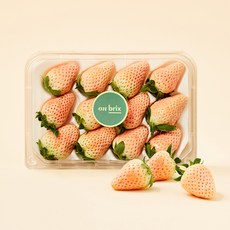 온브릭스 만년설 딸기, 350g, 1개