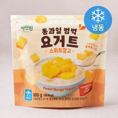 자연원 통과일 범벅 요거트 스위트망고 (냉동), 300g, 1개