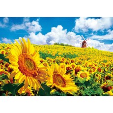 해바라기퍼즐10000피스 TOP01