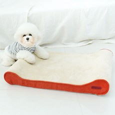 천안원데이클래스애견동반