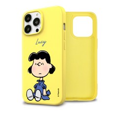 컬러젤리케이스