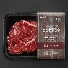 선진팜한우 찰진 채끝 1등급 구이용 (냉장), 200g, 1팩