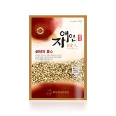 자애인 토종 볶은 홍화씨, 600g, 1개