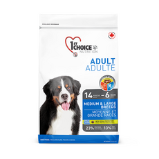 딜리셔스초이스