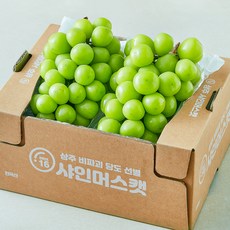 한반도 고당도 샤인머스캣 2~3수, 1박스, 1.5kg