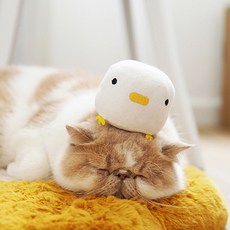 요기쏘 고양이 오리 캣닢 인형, 혼합색상, 1개
