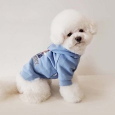 RARE MINX 狗狗連帽上衣, 天藍色, 1個