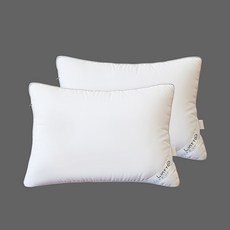 Lintton 可水洗3D立體枕芯 40x60公分 2入, 40*60cm, 白色