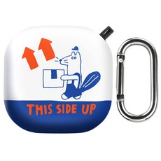 버즈2노티드케이스