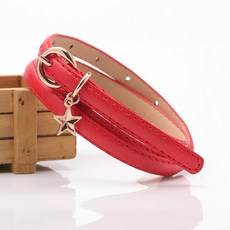 new폴레드머스트벨트