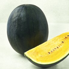 제이드가든 블랙보스 수박, 5kg 미만, 1개
