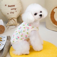 PASTEL PET 寵物貝貝圖案背心, 1個, A型