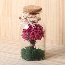ROMANTIC NOVEMBER 乾花霧花透明瓶500ml, 紅色 粉色