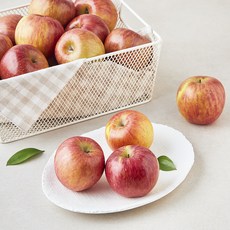 영주마실 빨간사과 못난이 가정용 소과 15~21입, 3kg, 1개