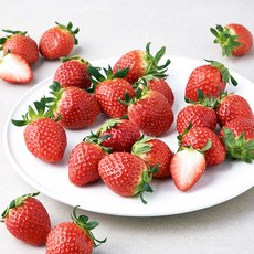 팜앤푸드 한판 설향 딸기 30~35과, 800g, 1팩