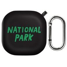 버즈2노티드케이스