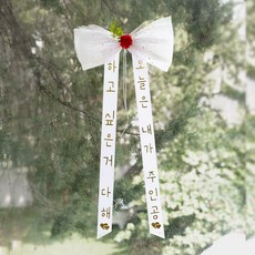 아스파시아 트윙클 리본 카네이션 인간화환 오늘은 내가 주인공 대, 화이트, 1개