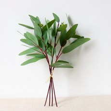 유칼립투스 조화 긴잎 열매 4p
